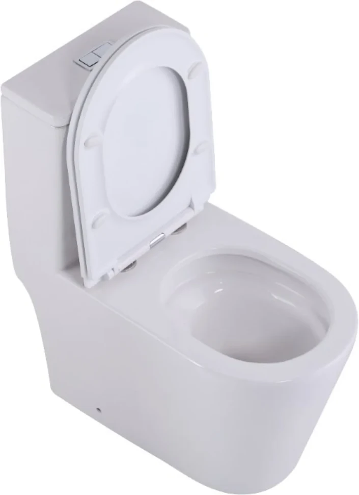 Унитаз-моноблок напольный SantiLine SL-5029 белый, микролифт