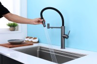 Смеситель для кухни Paulmark Ganymede Ga213199-GM с гибким изливом, вороненая сталь