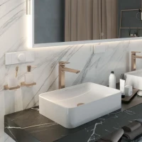 Раковина Hansgrohe Xuniva Q 60168450
