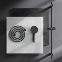 Душевой гарнитур AM.PM X-Joy F0185A022 черный Душевой гарнитур AM.PM X-Joy F0185A022 черный