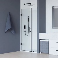 Душевая дверь в нишу RGW Hotel HO-012-B 1000х1950 профиль черный, стекло прозрачное
