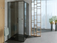 Душевой уголок Alex Baitler AB64B110 + SG64B80 110x80, профиль черный, стекло тонированное