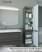 Шкаф-пенал для ванной Caprigo Wales 40 R графит