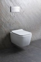 Унитаз подвесной Allen Brau Liberty 4.33007.21 безободковый, с микролифтом, матовый белый