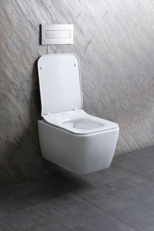 Унитаз подвесной Allen Brau Liberty 4.33007.21 безободковый, с микролифтом, матовый белый