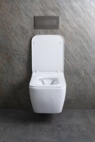 Унитаз подвесной Allen Brau Liberty 4.33007.21 безободковый, с микролифтом, матовый белый