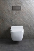 Унитаз подвесной Allen Brau Liberty 4.33007.21 безободковый, с микролифтом, матовый белый