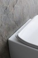 Унитаз подвесной Allen Brau Liberty 4.33007.21 безободковый, с микролифтом, матовый белый