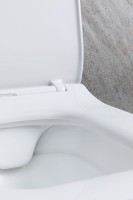 Унитаз подвесной Allen Brau Liberty 4.33007.21 безободковый, с микролифтом, матовый белый