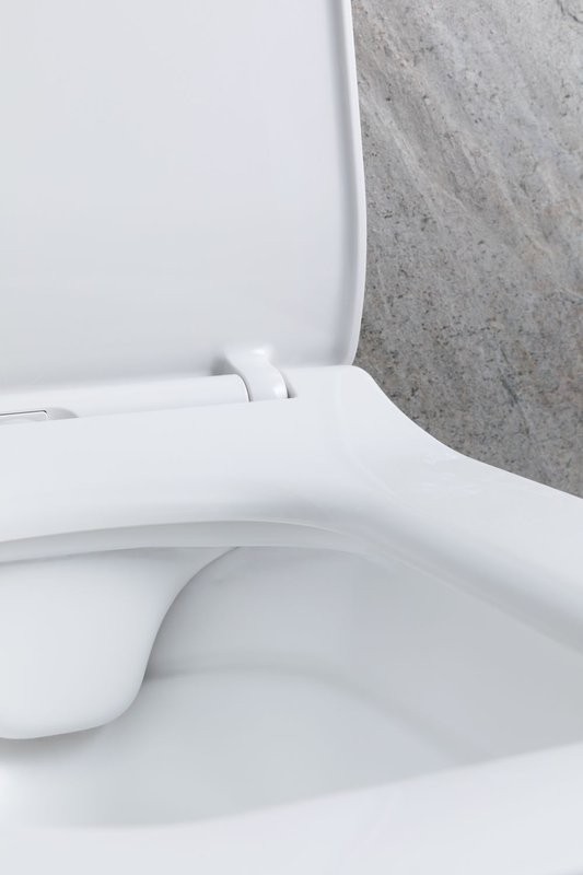 Унитаз подвесной Allen Brau Liberty 4.33007.21 безободковый, с микролифтом, матовый белый