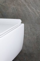 Унитаз подвесной Allen Brau Liberty 4.33007.21 безободковый, с микролифтом, матовый белый