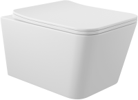 Унитаз подвесной Aqueduto Macio MAC0110 безободковый, с микролифтом, белый глянцевый + Ершик Ridder Kira белый P