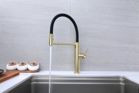 Смеситель для кухни Paulmark Ganymede Ga213199-LG с гибким изливом, светлое золото