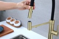 Смеситель для кухни Paulmark Ganymede Ga213199-LG с гибким изливом, светлое золото