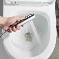 Гигиенический душ Shevanik S9605-1 со смесителем, хром