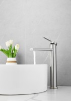 Смеситель для раковины BELZ B813 B11813-1 сатин Смеситель для раковины BELZ B813 B11813-1 сатин