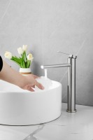 Смеситель для раковины BELZ B813 B11813-1 сатин Смеситель для раковины BELZ B813 B11813-1 сатин