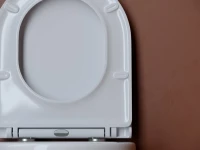 Комплект Унитаз подвесной Ceramicanova UP Rimless CN4007 белый + Инсталляция Geberit Duofix Delta 458.163.21.1 с кнопкой смыва, хром