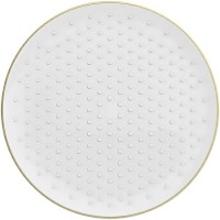 Верхний душ Raglo R452 R452.09.03 золотой сатин