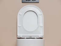 Унитаз подвесной Ceramicanova Noe, смыв торнадо 3.0, сиденье микролифт, белый, CN4011T