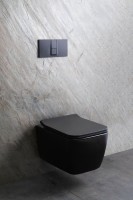 Унитаз подвесной Allen Brau Liberty 4.33007.31 безободковый, с микролифтом, матовый черный