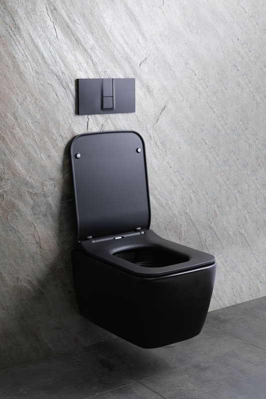 Унитаз подвесной Allen Brau Liberty 4.33007.31 безободковый, с микролифтом, матовый черный