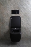 Унитаз подвесной Allen Brau Liberty 4.33007.31 безободковый, с микролифтом, матовый черный