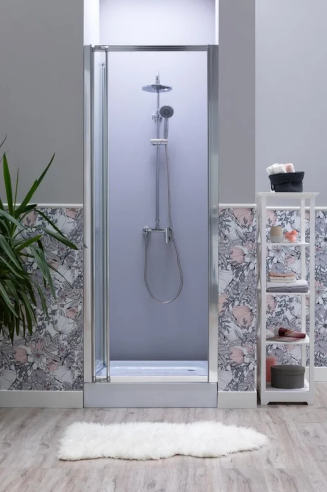 Душевая дверь в нишу Aquanet Alfa 210018