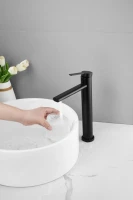 Смеситель для раковины BELZ B813 B11813-7 черный