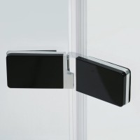 Душевая дверь в нишу Wasserkraft Aller 10H05RBLACK MATT 120 см
