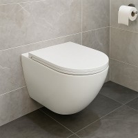 Унитаз подвесной AZARIO Blanco AZ-9003WT безободковый, с микролифтом, глянцевый белый