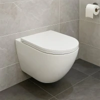 Унитаз подвесной AZARIO Blanco AZ-9003WT безободковый, с микролифтом, глянцевый белый