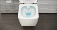 Унитаз подвесной VitrA Metropole Rim-Ex 7672B003-1686 с функциями VitrAflush и VitrAfresh, с емкостью для чистящей жидкости