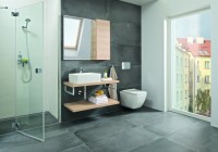 Накладная раковина Roca Mila 732700B000