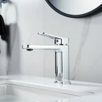 Смеситель для раковины Shevanik S9901 хром