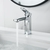 Смеситель для раковины Shevanik S9901 хром