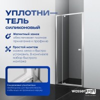 Душевая дверь в нишу Wasserkraft Aula 11P04 90 см