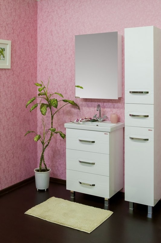Зеркало-шкаф Sanflor Анкона R, 60