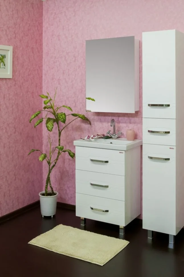 Зеркало-шкаф Sanflor Анкона R, 60