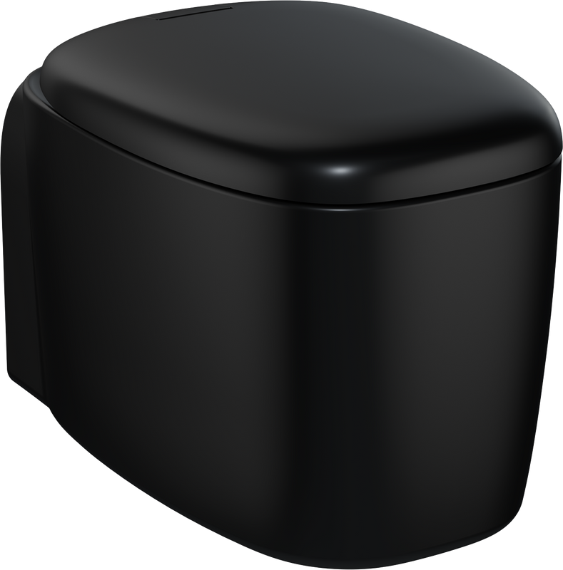 Унитаз подвесной VitrA Plural Rim-Ex 7830B483-0075 матовый черный