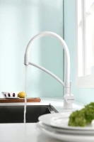 Смеситель для кухни Paulmark Siegen Si213111-431TW белый матовый с гибким изливом Смеситель для кухни Paulmark Siegen Si213111-431TW белый матовый с гибким изливом