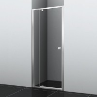 Душевая дверь в нишу Wasserkraft Aula 11P12 100 см