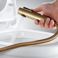 Гигиенический душ Shevanik S9905G-1 со смесителем, золотой сатин