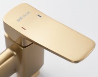 Гигиенический душ Shevanik S9905G-1 со смесителем, золотой сатин