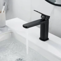 Смеситель для раковины Shevanik S9901H черный