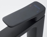 Смеситель для раковины Shevanik S9901H черный