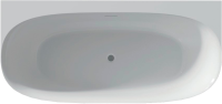 Акриловая ванна Riho Omega B2W B094001005 170x80 см, пристенная, белая, овальная, на ножках, со сливом-переливом