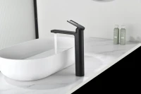 Смеситель для раковины Black&White Gravity 7203MB matt black