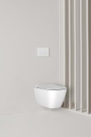 Кнопка смыва Ideal Standard ProSys Oleas R0119AC белая