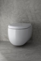Унитаз подвесной VitrA Liquid 7321B403-0075 безободковый, с микролифтом, глянцевый белый